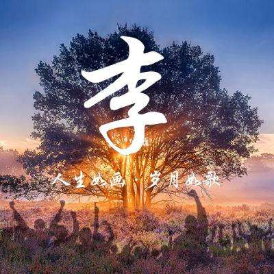河北省魔术节目《伞语》喜摘中国杂技最高奖“金菊奖”